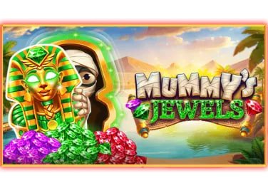 33www